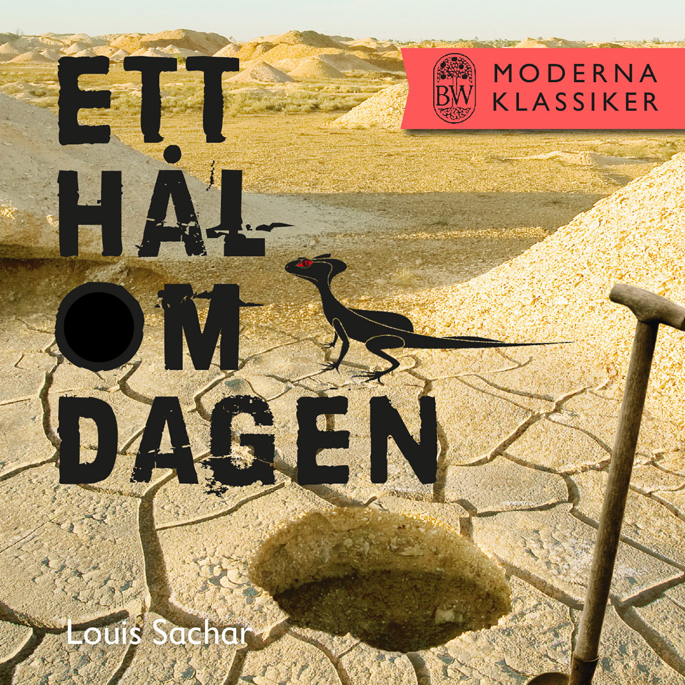 Omslag: Ett hål om dagen