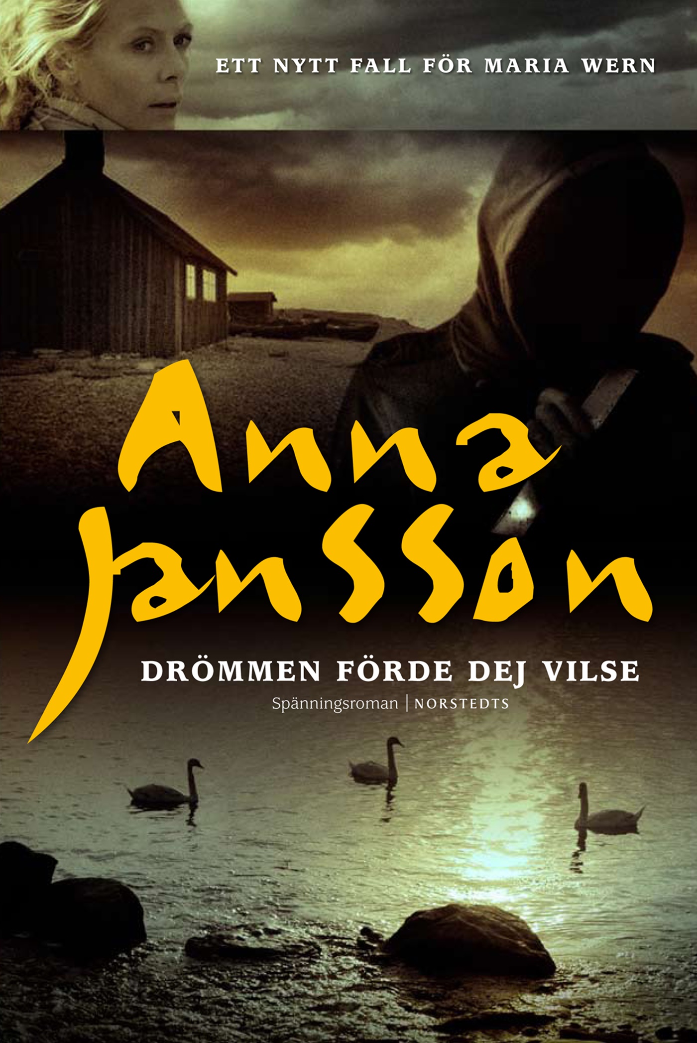 Omslag: Drömmen förde dej vilse