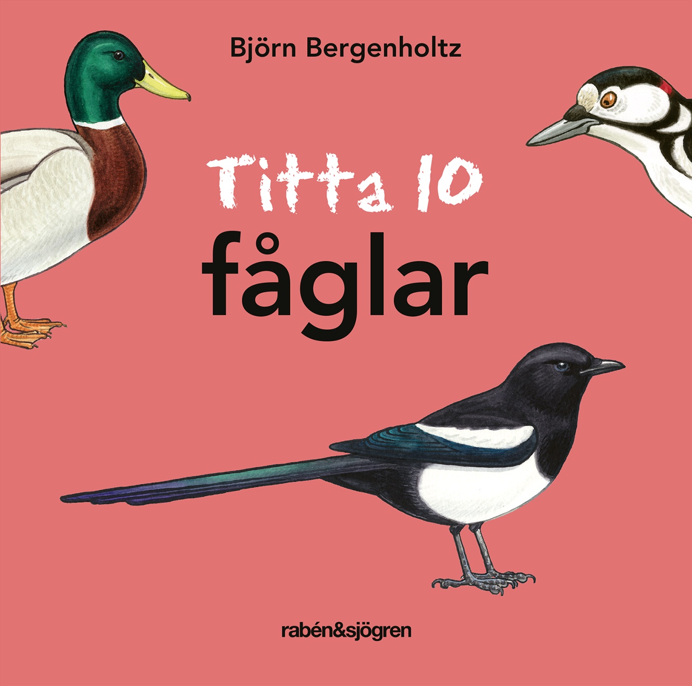 Omslag: Titta 10 fåglar