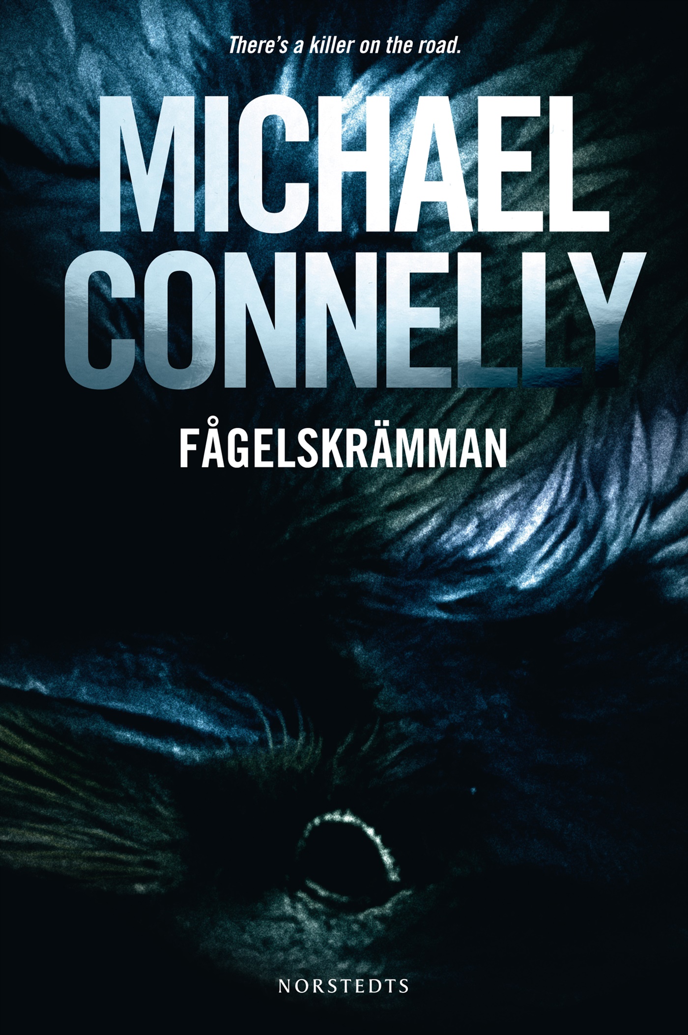 Omslag: Fågelskrämman