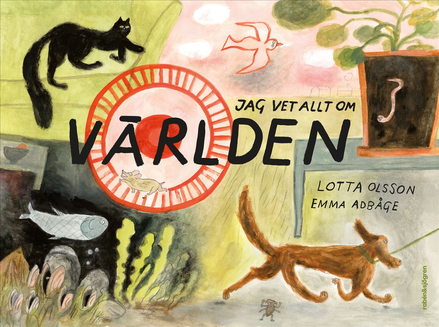 Omslag: Jag vet allt om världen