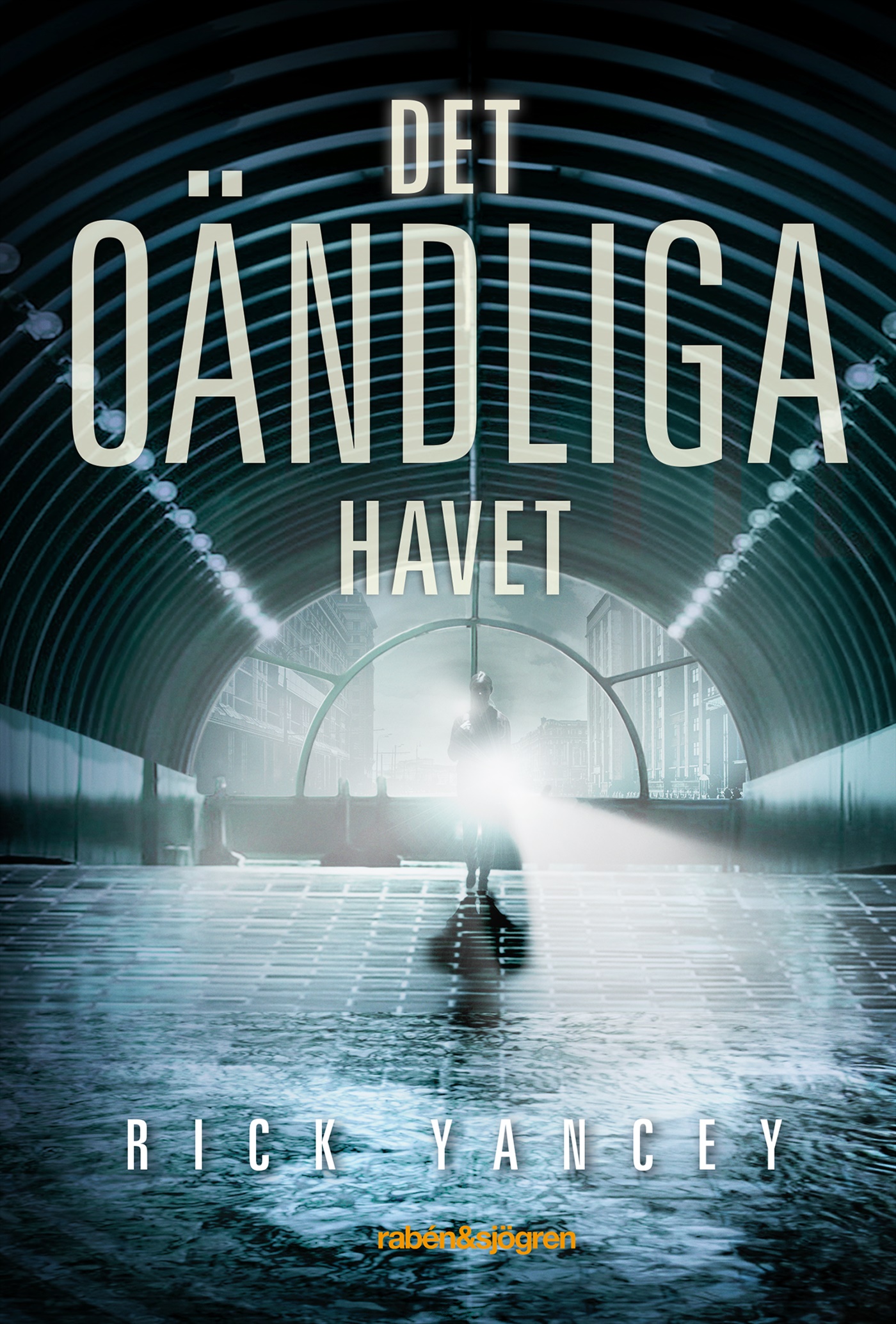 Omslag: Det oändliga havet