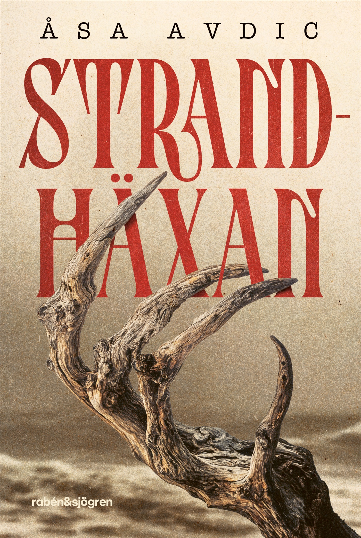 Omslag: Strandhäxan
